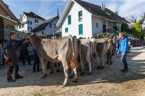 k-010Abteilung 7a Dally VIAMALA-ET